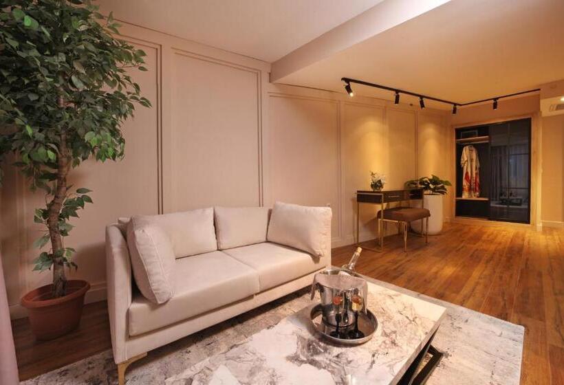 اتاق استاندارد با تخت بزرگ, Concept Nisantasi Hotels & Spa