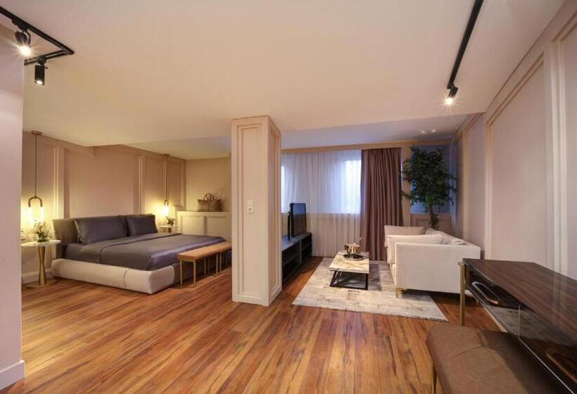 اتاق استاندارد با تخت بزرگ, Concept Nisantasi Hotels & Spa