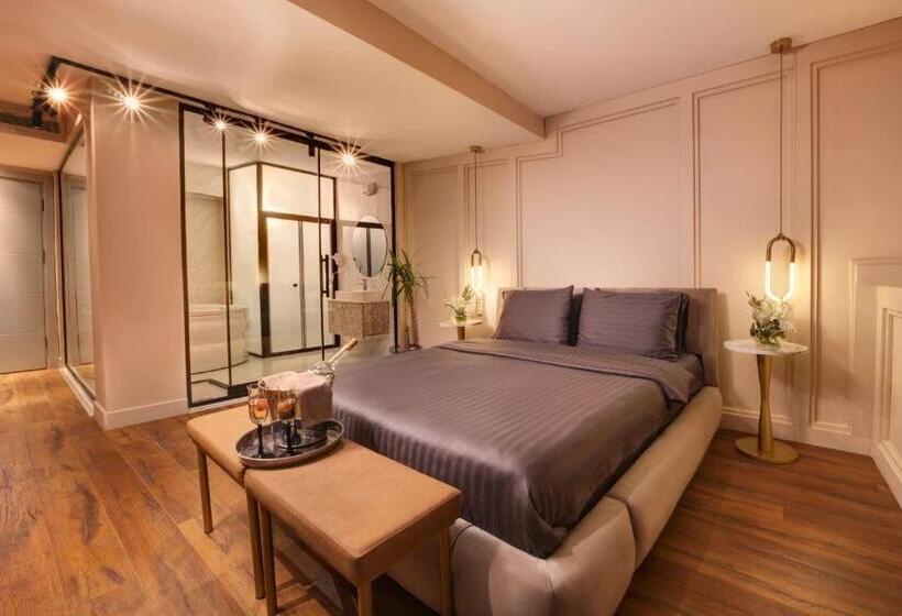 اتاق استاندارد با تخت بزرگ, Concept Nisantasi Hotels & Spa