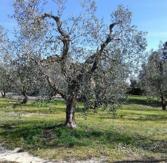 خانه 1 خوابه, Agriturismo Le Chiare Stelle