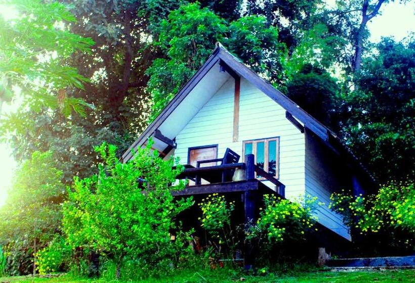 اتاق استاندارد با بالکن, Jungle Guesthouse