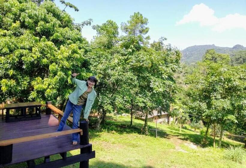 اتاق استاندارد با تخت بزرگ, Jungle Guesthouse