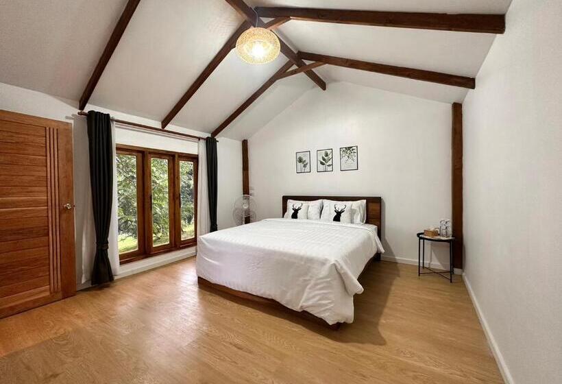 اتاق سوپریور با تخت بزرگ, Jungle Guesthouse
