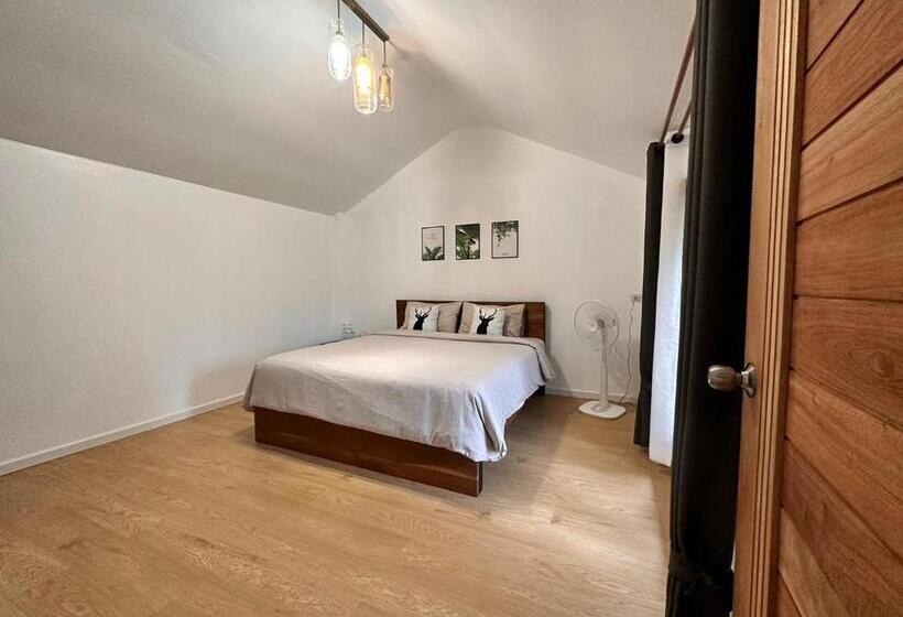 اتاق سوپریور با تخت بزرگ, Jungle Guesthouse
