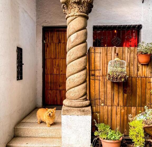 اتاق لوکس, Casa Melgar