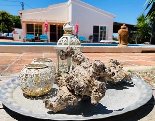 اتاق استاندارد با چشم‌انداز استخر, Finca Del Gecko