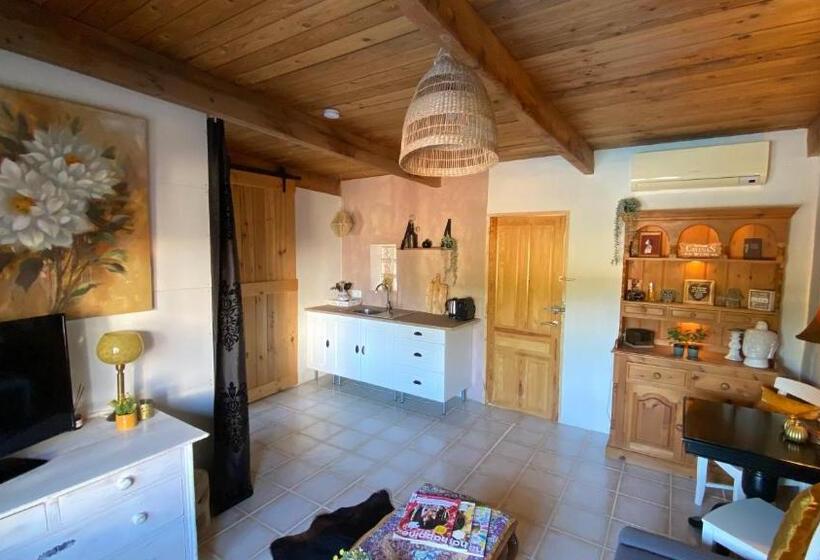 اتاق استاندارد چهار تخته, Finca Del Gecko