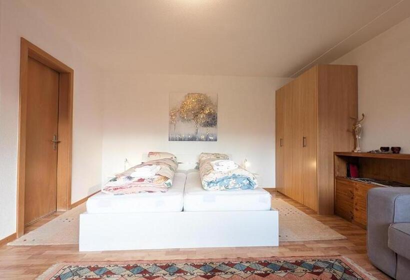 Студия Superior, Imhof Alpine B&b Apartments