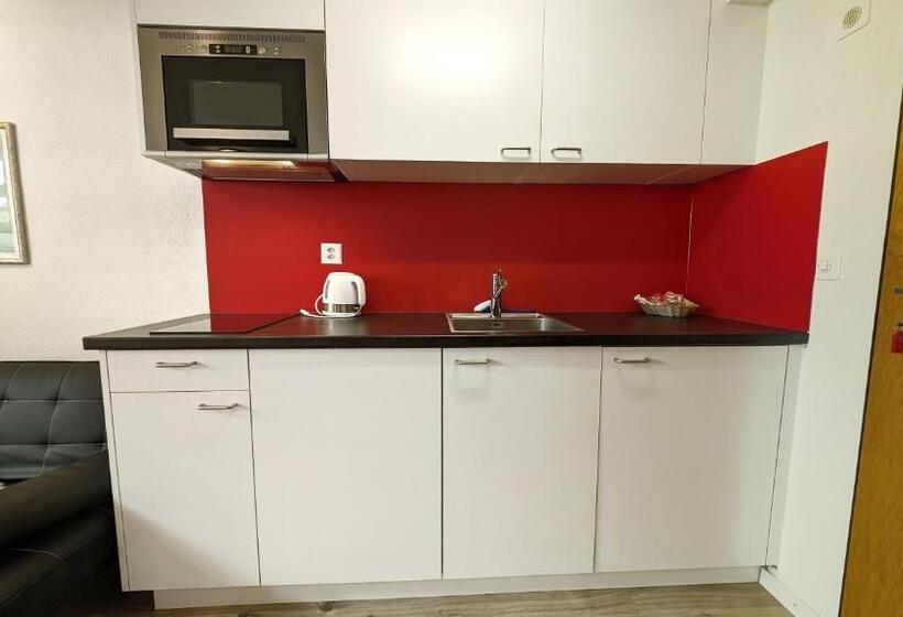 Студио Стандарт с Балконом, Imhof Alpine B&b Apartments
