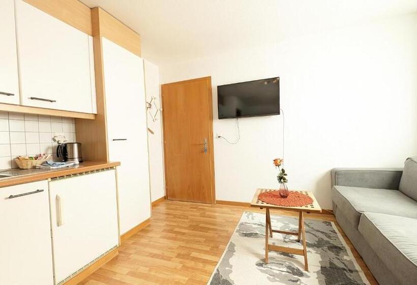 Студия Стандарт, Imhof Alpine B&b Apartments