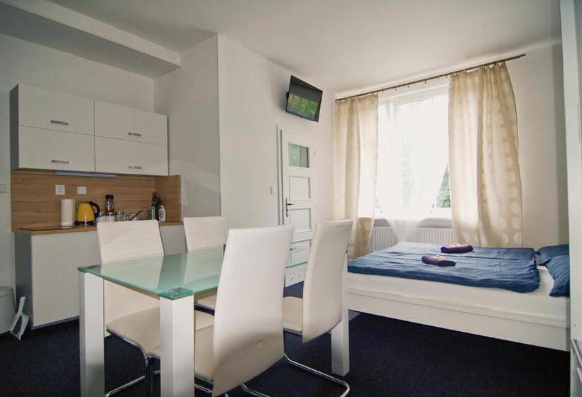 آپارتمان سوپریور 1 خوابه, Aparthotel Vítkovice