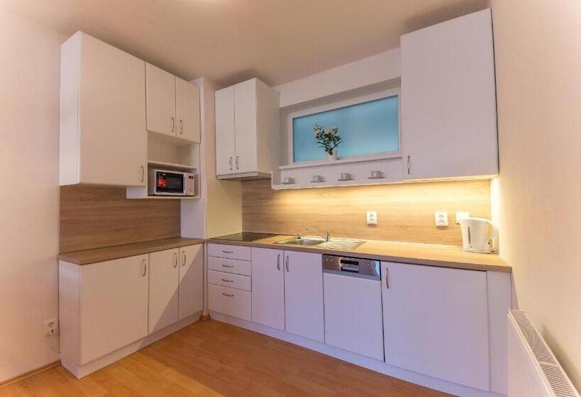 带1个卧室的带阳台的公寓, Apartmán U Lázní D23