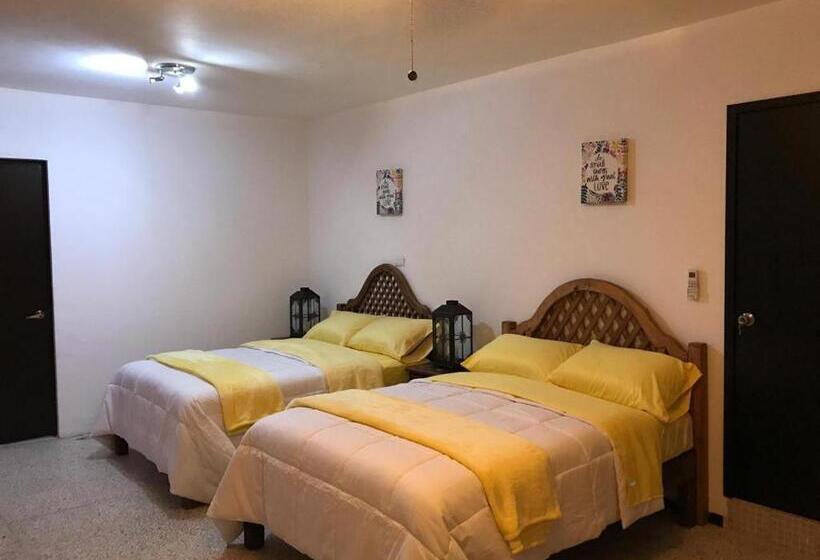 スタンダードルーム, Apartamento&habitación Galeana