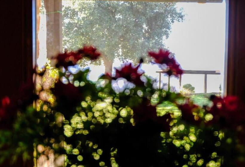 חדר דלוקס, Agriturismo Poggio Monte Saturnia