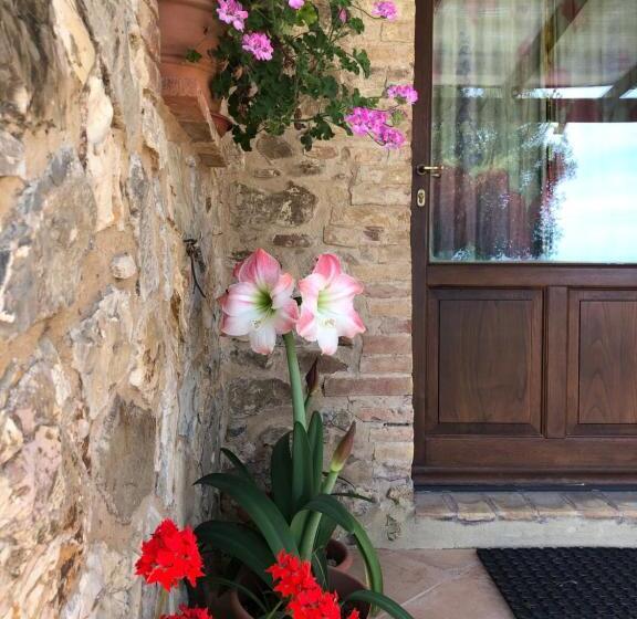 חדר דלוקס, Agriturismo Poggio Monte Saturnia