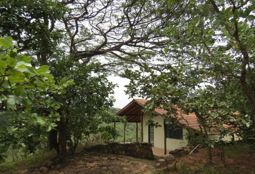 Шале 1 Спальня, Fazenda Hotel Bem Ecológico