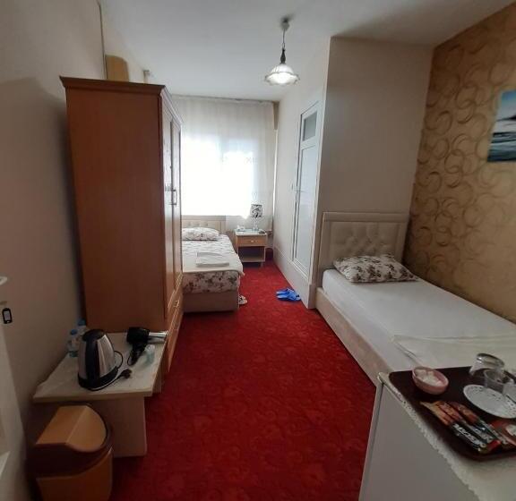 اتاق اکونومی, Saydam Otel