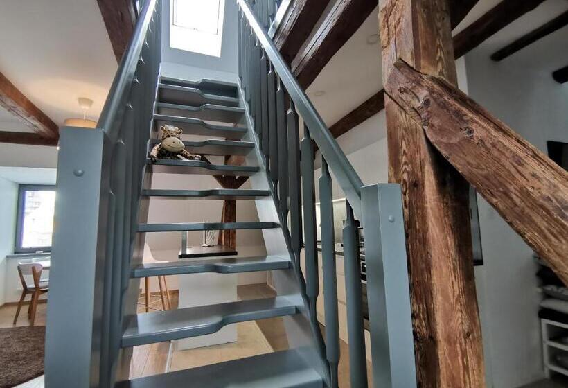 침실 1개 전망 아파트, Apartmány 91 Boží Dar