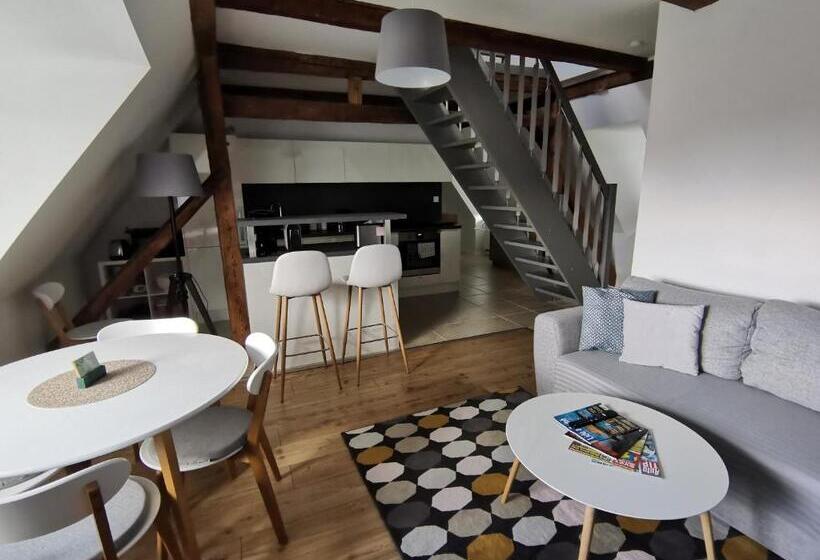 침실 1개 전망 아파트, Apartmány 91 Boží Dar