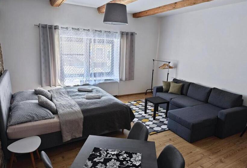침실 1개 수피리어 아파트, Apartmány 91 Boží Dar