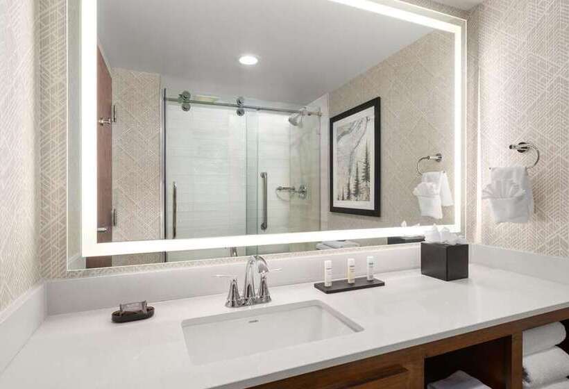 جناح سرير كينج, Embassy Suites By Hilton At Hot Springs Convention Center