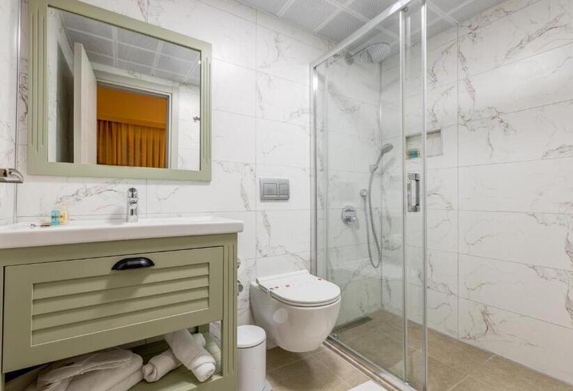 اتاق استاندارد, Hanedan Otel