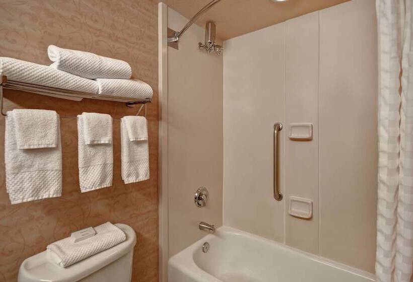 Люкс Премиум, Embassy Suites By Hilton At Hot Springs Convention Center