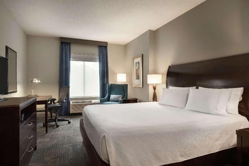 스탠다드 룸 킹사이즈 침대, Hilton Garden Inn Minneapolis Downtown