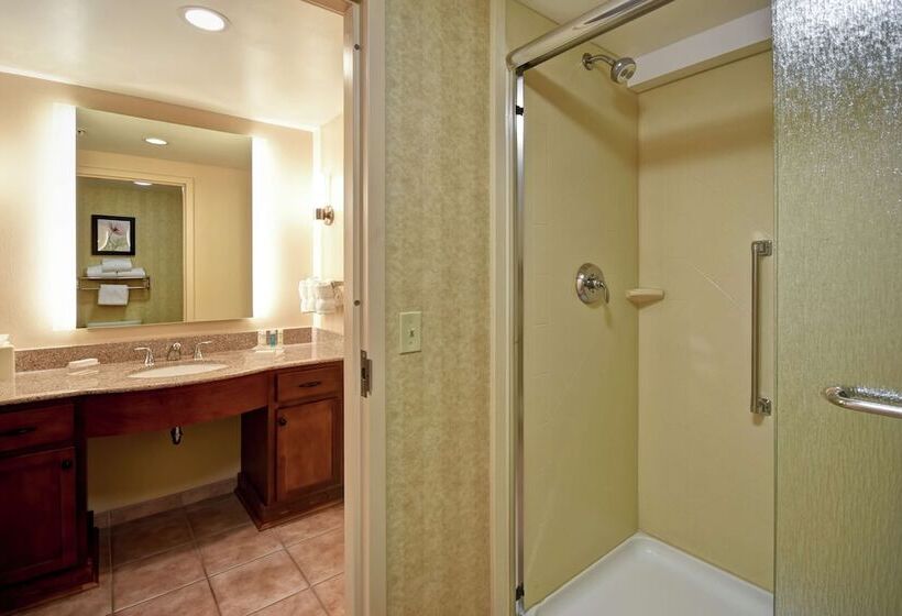 استودیوی استاندارد با تخت دوبل, Homewood Suites Lancaster