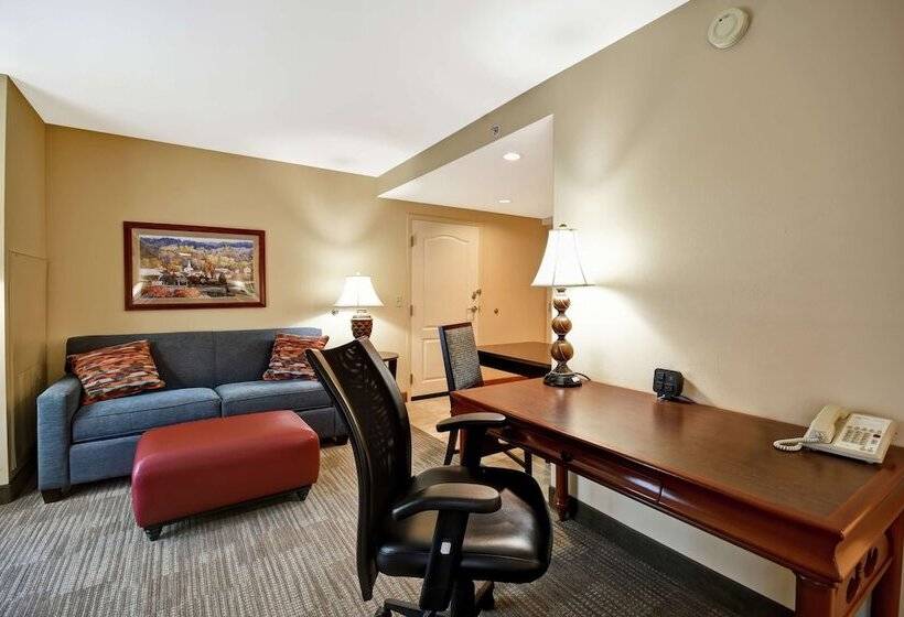 استودیوی استاندارد با تخت دوبل, Homewood Suites Lancaster