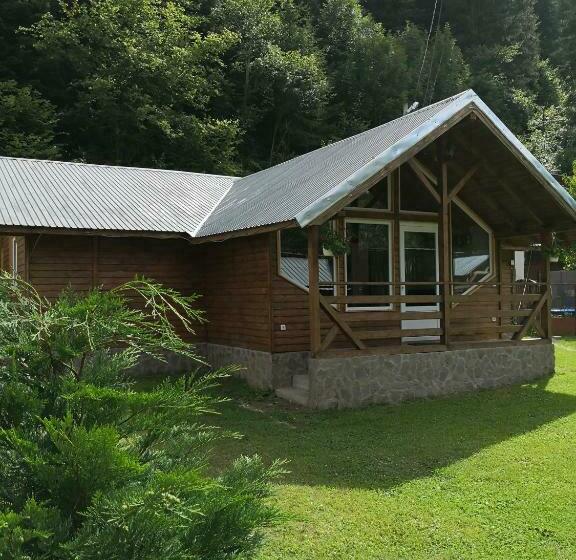 خانه 4 خوابه, Casa De Vacanta Aurelia