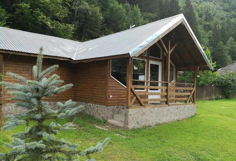 خانه 4 خوابه, Casa De Vacanta Aurelia