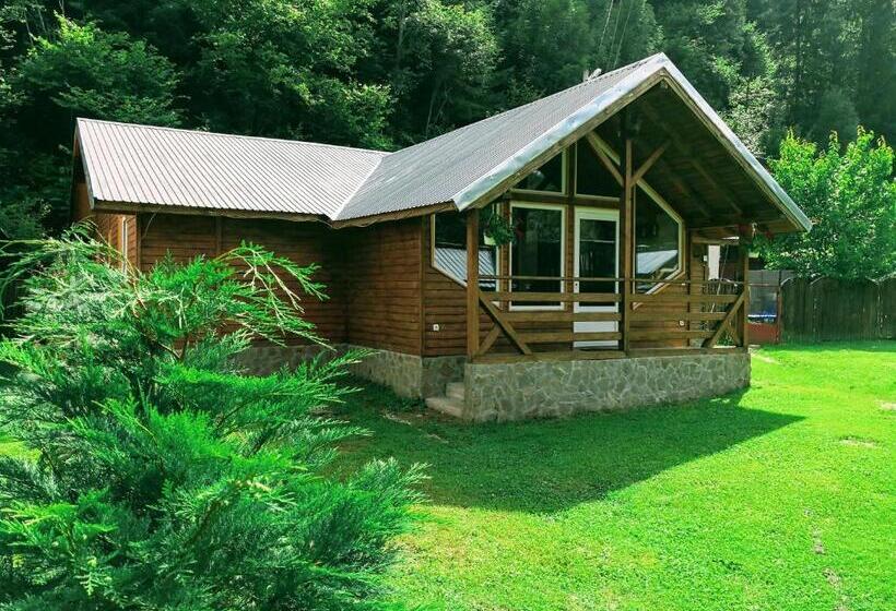 خانه 4 خوابه, Casa De Vacanta Aurelia