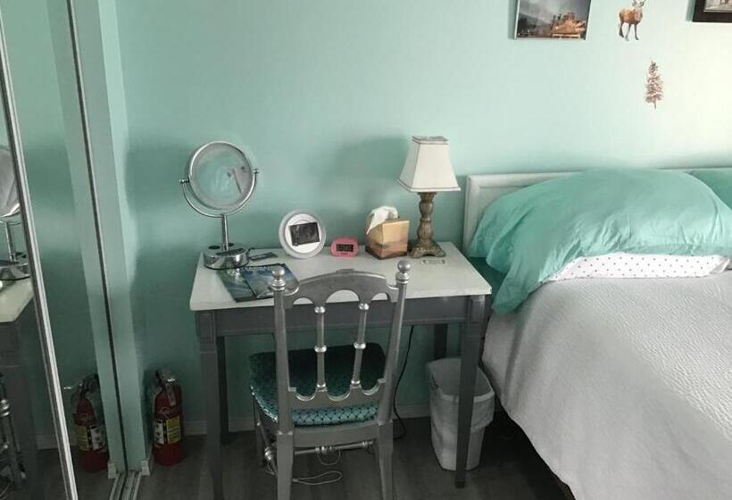 اتاق اکونومی یک تخته, Brennan S B&b