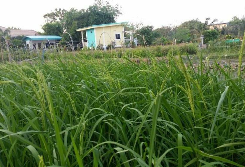 Бунгало Стандарт Вид на Сад, Ban Ing Suan