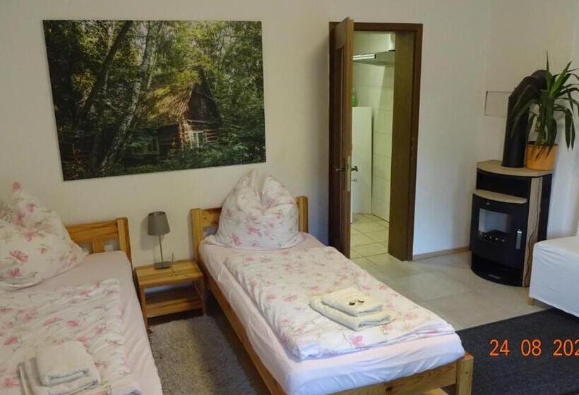 Трехместный Номер Базовый, Pension Am Schloß