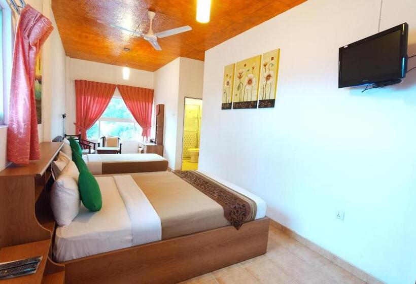 Quarto Triplo Economy, Olympus Plaza