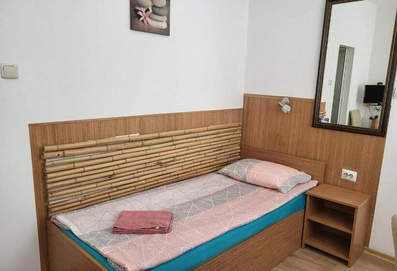 经济房, Pension Haus Baron 1 Neckarau