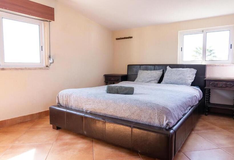 اتاق استاندارد, Natural Mystic Hostel