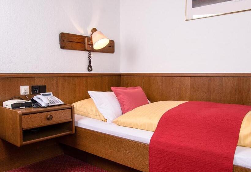 Номер Стандарт Индивидуальный, Arthotel Ana Flair