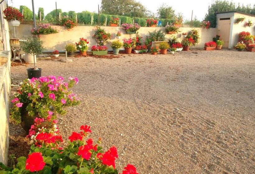 اتاق استاندارد, Armalou