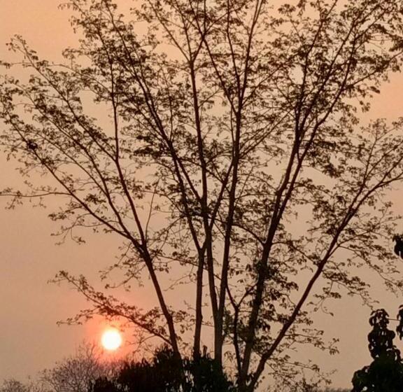스탠다드 방갈로, Ban Suan Sukjai Mae Sariang