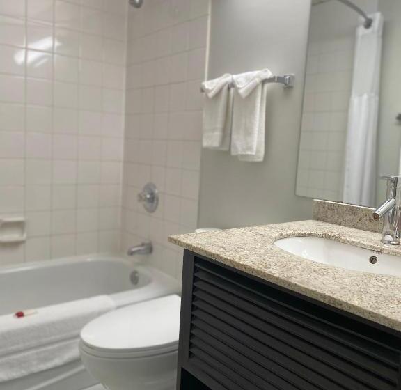 Номер Стандарт, Travelodge By Wyndham Miramichi New Brunswick