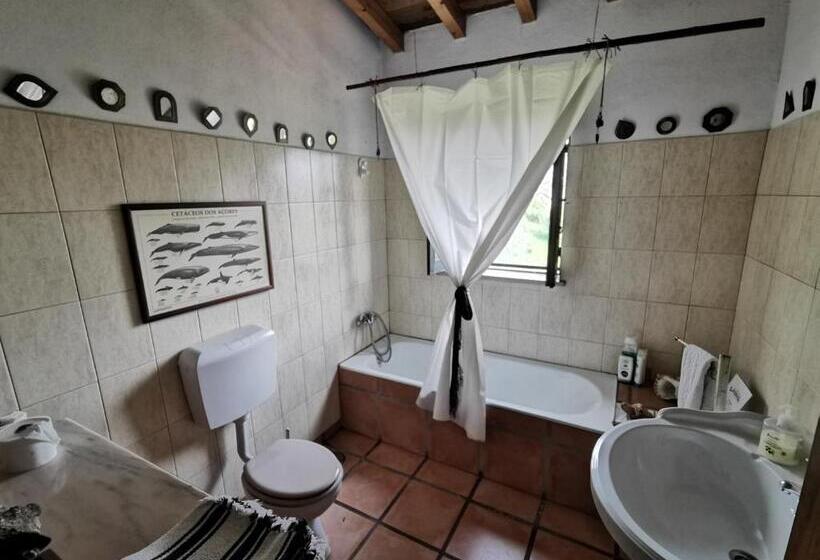Номер Стандарт Совместная Ванная, Hostel Argonauta