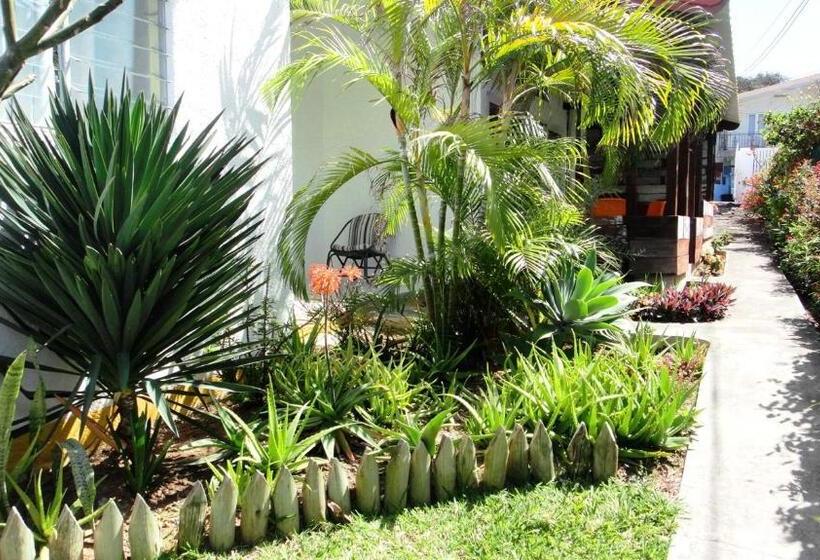 آپارتمان 1 خوابه با چشم‌انداز باغ, Colibri Beach Villas