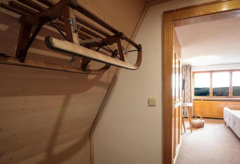 اتاق استاندارد, Haus Am Berg   Pension Direkt Am Skihang