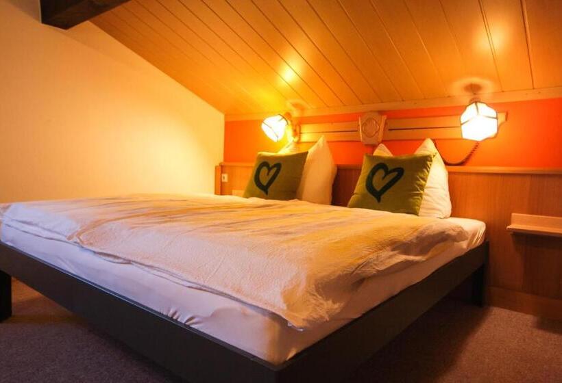 اتاق اکونومی, Haus Am Berg   Pension Direkt Am Skihang