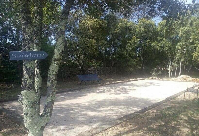 Номер Стандарт, Maprovencale