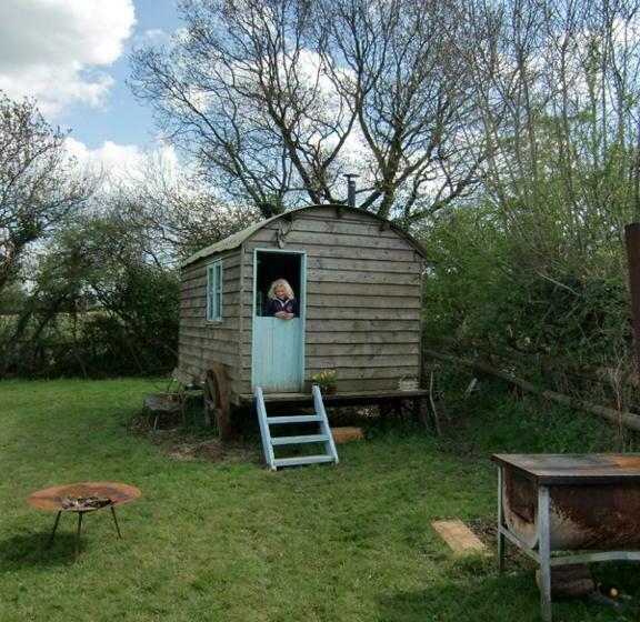 بانگلوی استاندارد, Mollies Hut