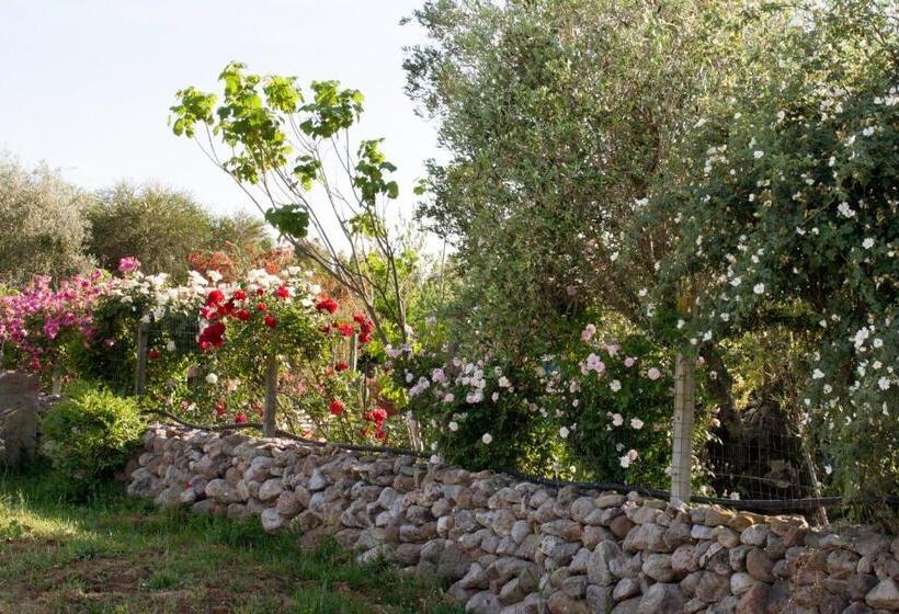 Номер Стандарт, Il Vecchioliveto Di Ornella